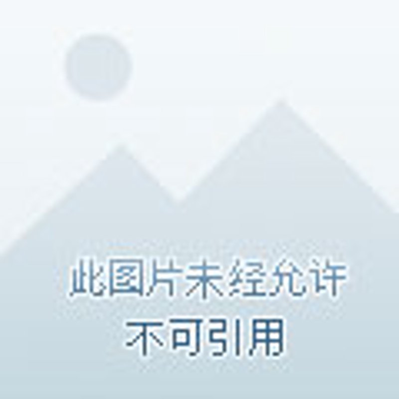 热力四射的重庆火锅店：城市味蕾的新宠